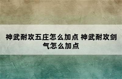 神武耐攻五庄怎么加点 神武耐攻剑气怎么加点